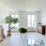 Rénovation d’un appartement en duplex à Lyon (69) - grand salon avec plante et fauteuil